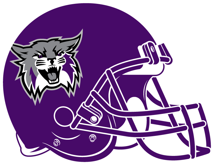 Weber State Wildcats 2012-Pres Helmet iron on transfers for clothing